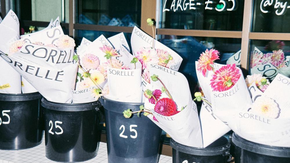 Sorelle flowers at Corner Shop in London, near Temple Underground station.