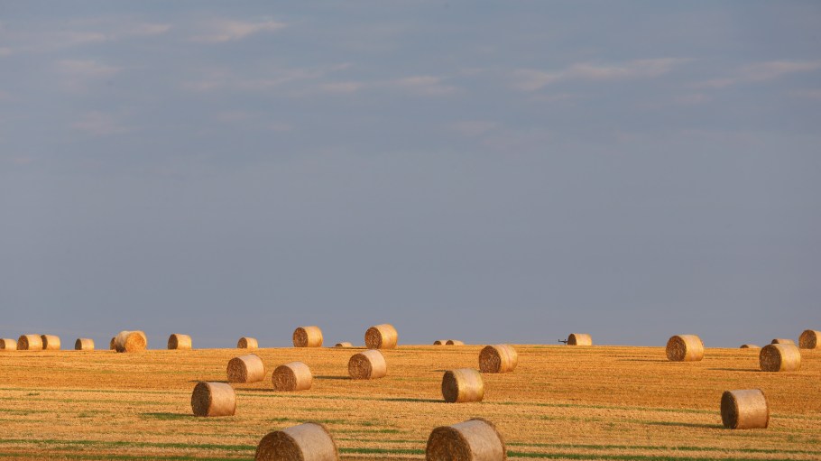 BAD NEUSTADT, GERMANY - SEPTEMBER 02:  GERMANY:   A wheat field with straw bales is pictured on September 2, 2012 in Bad Neustadt, Germany.  (Photo by Alexander Hassenstein/Getty Images)
